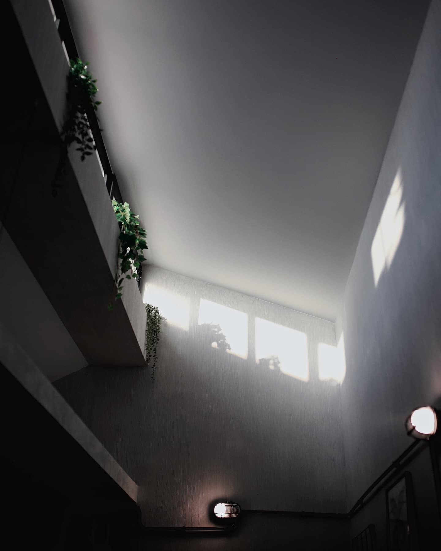 STUDIO 003