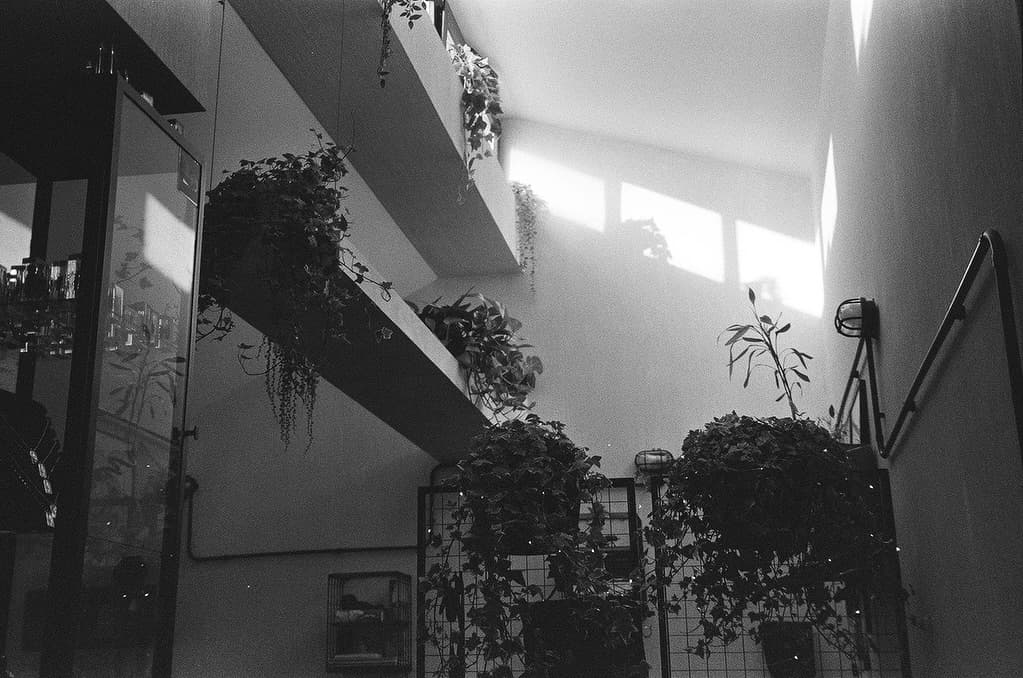 Bianco Studio location